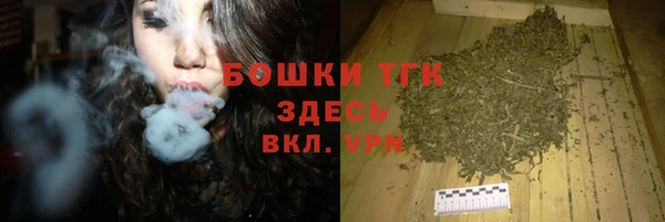 прущие грибы Алексин