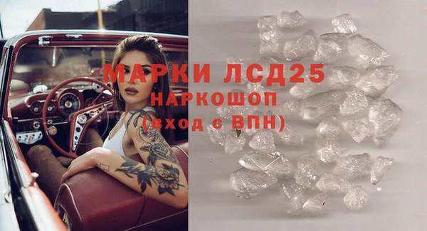 прущие грибы Алексин