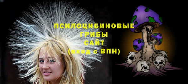 прущие грибы Алексин